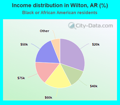 Income distribution in Wilton, AR (%)