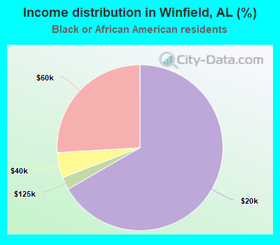 Income distribution in Winfield, AL (%)