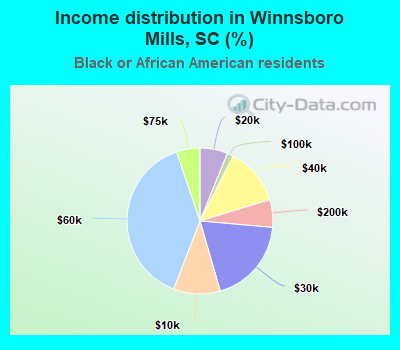 Income distribution in Winnsboro Mills, SC (%)