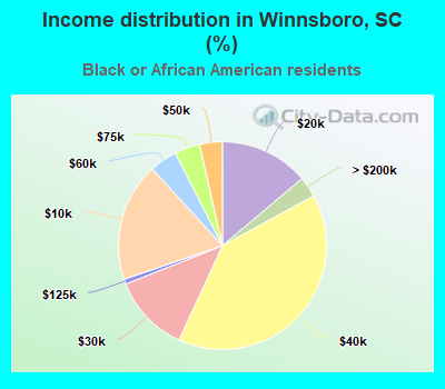 Income distribution in Winnsboro, SC (%)