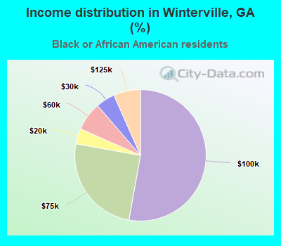 Income distribution in Winterville, GA (%)
