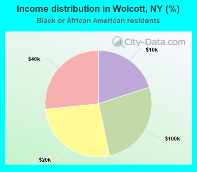 Income distribution in Wolcott, NY (%)