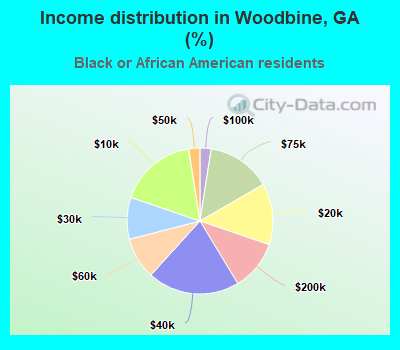 Income distribution in Woodbine, GA (%)