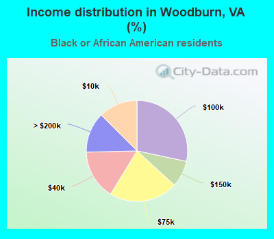 Income distribution in Woodburn, VA (%)