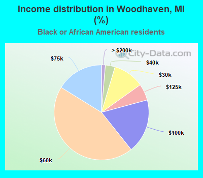 Income distribution in Woodhaven, MI (%)