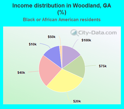 Income distribution in Woodland, GA (%)
