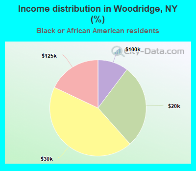 Income distribution in Woodridge, NY (%)