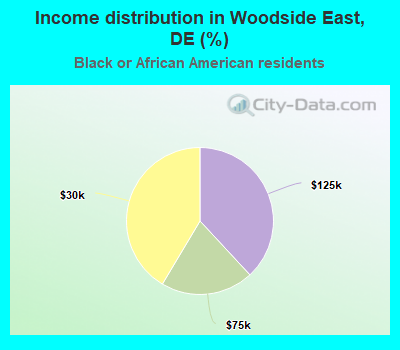 Income distribution in Woodside East, DE (%)