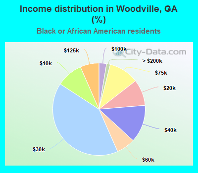 Income distribution in Woodville, GA (%)