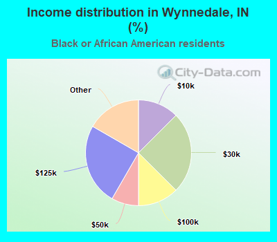 Income distribution in Wynnedale, IN (%)