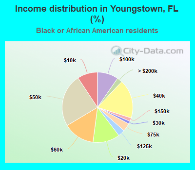 Income distribution in Youngstown, FL (%)