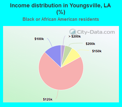 Income distribution in Youngsville, LA (%)