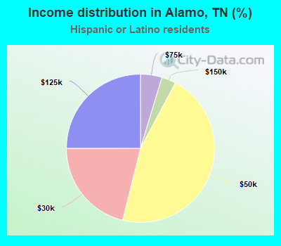 Income distribution in Alamo, TN (%)