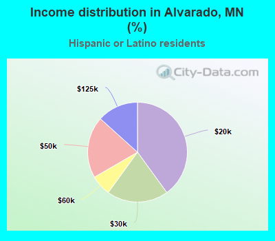 Income distribution in Alvarado, MN (%)