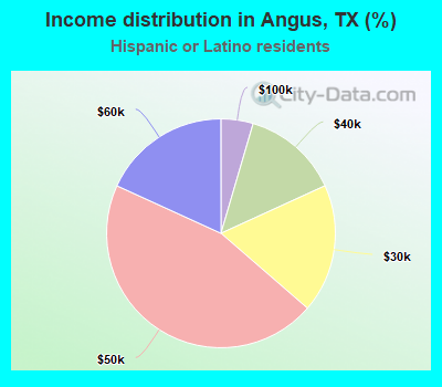 Income distribution in Angus, TX (%)