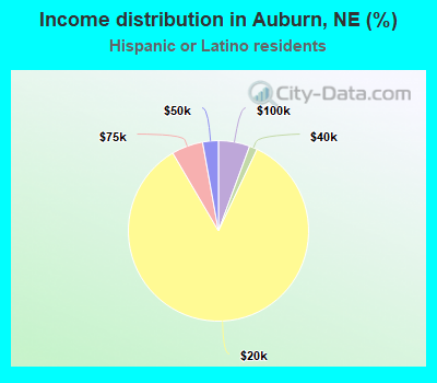 Income distribution in Auburn, NE (%)