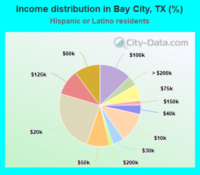 Income distribution in Bay City, TX (%)