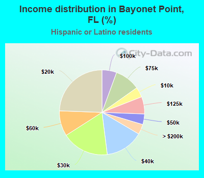 Income distribution in Bayonet Point, FL (%)