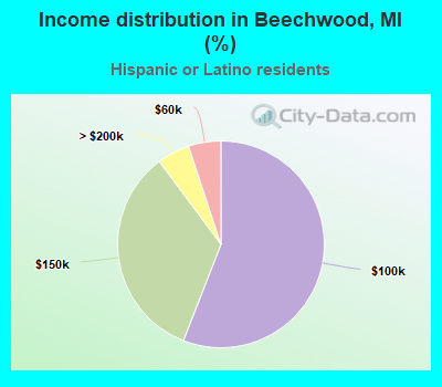 Income distribution in Beechwood, MI (%)