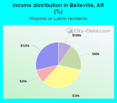 Income distribution in Belleville, AR (%)