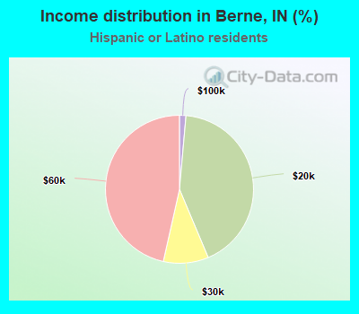 Income distribution in Berne, IN (%)