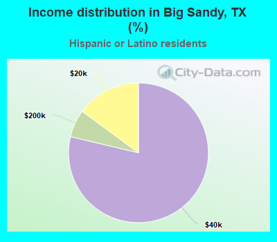 Income distribution in Big Sandy, TX (%)