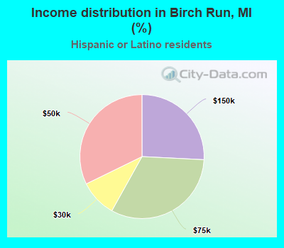 Income distribution in Birch Run, MI (%)