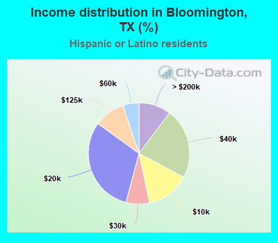 Income distribution in Bloomington, TX (%)