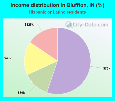 Income distribution in Bluffton, IN (%)