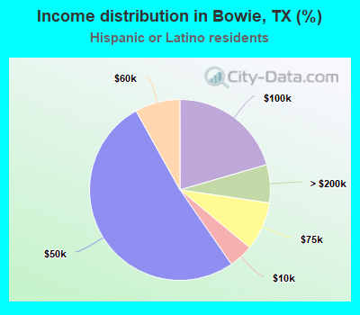 Income distribution in Bowie, TX (%)