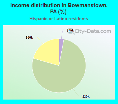 Income distribution in Bowmanstown, PA (%)