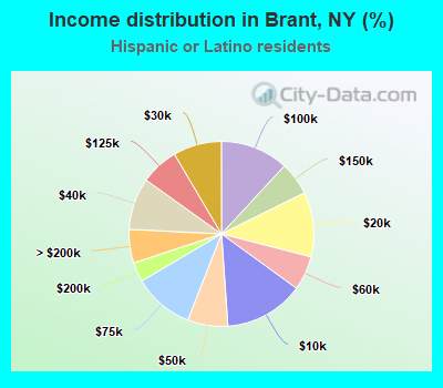 Income distribution in Brant, NY (%)