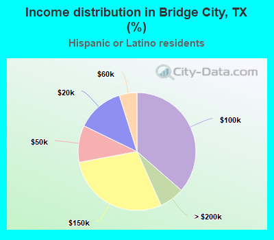 Income distribution in Bridge City, TX (%)