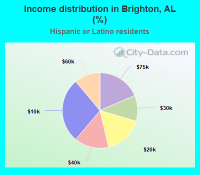 Income distribution in Brighton, AL (%)