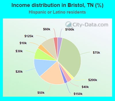 Income distribution in Bristol, TN (%)