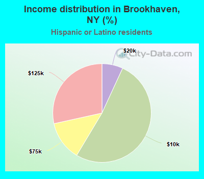 Income distribution in Brookhaven, NY (%)