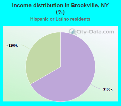 Income distribution in Brookville, NY (%)