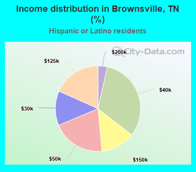 Income distribution in Brownsville, TN (%)