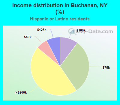 Income distribution in Buchanan, NY (%)
