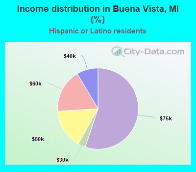 Income distribution in Buena Vista, MI (%)