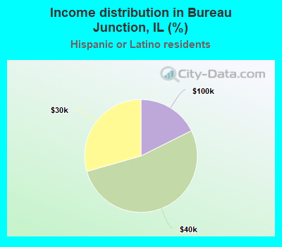 Income distribution in Bureau Junction, IL (%)