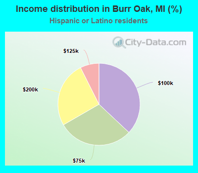 Income distribution in Burr Oak, MI (%)