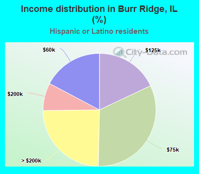 Income distribution in Burr Ridge, IL (%)