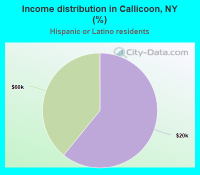 Income distribution in Callicoon, NY (%)
