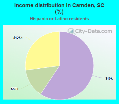 Income distribution in Camden, SC (%)