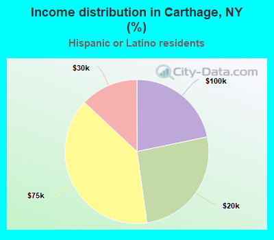 Income distribution in Carthage, NY (%)