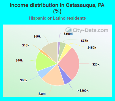 Income distribution in Catasauqua, PA (%)
