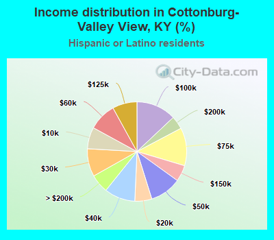 Income distribution in Cottonburg-Valley View, KY (%)