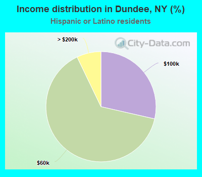 Income distribution in Dundee, NY (%)