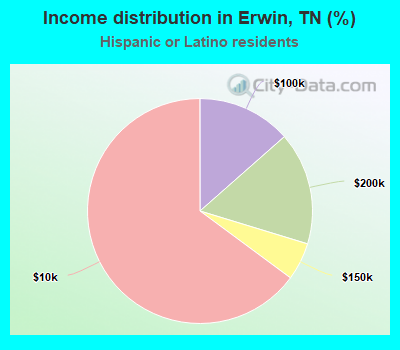 Income distribution in Erwin, TN (%)